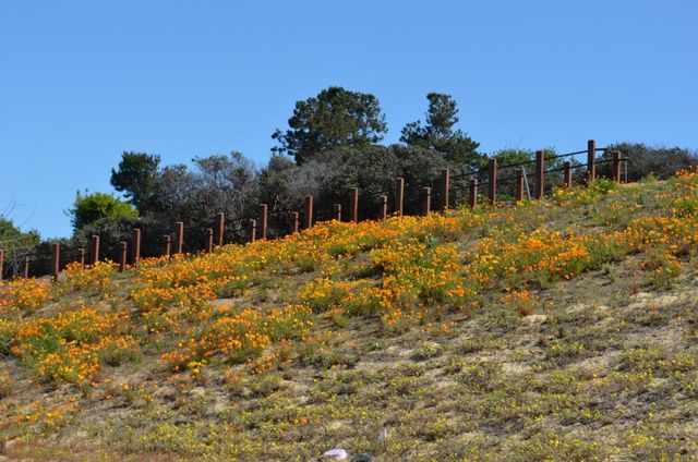 2760 Bungalow Drive, Marina, CA 93933