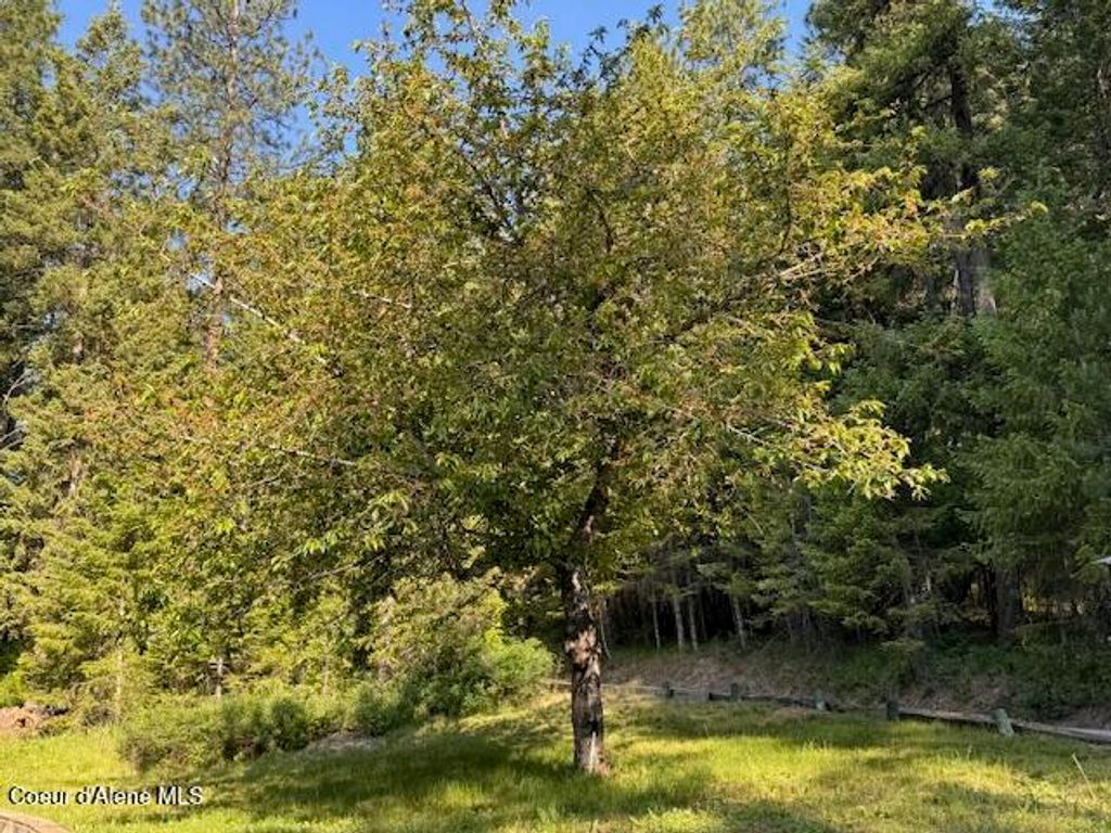 5005 W Cougar Estates Rd, Coeur d'Alene, ID 83814 photo 5