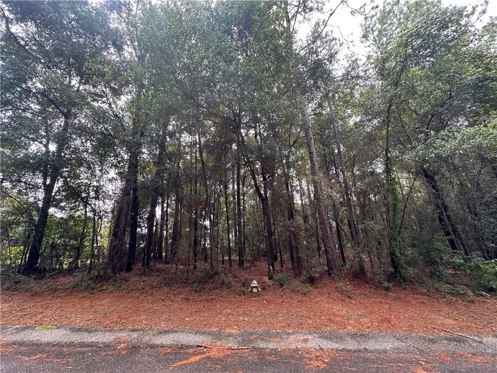 0 Lukoli Lane, Saraland, AL 36571 — exterior