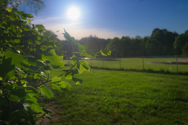 168 Maple Valley Ln, Cookeville, TN 38506