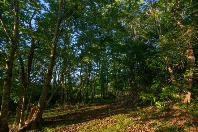 168 Maple Valley Ln, Cookeville, TN 38506