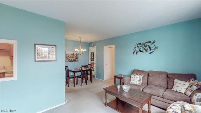 2736 Pease Drive 215N, Rocky River, OH 44116