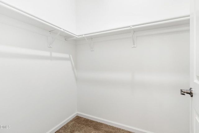 2810 Beechwood Drive, Durham, NC 27707