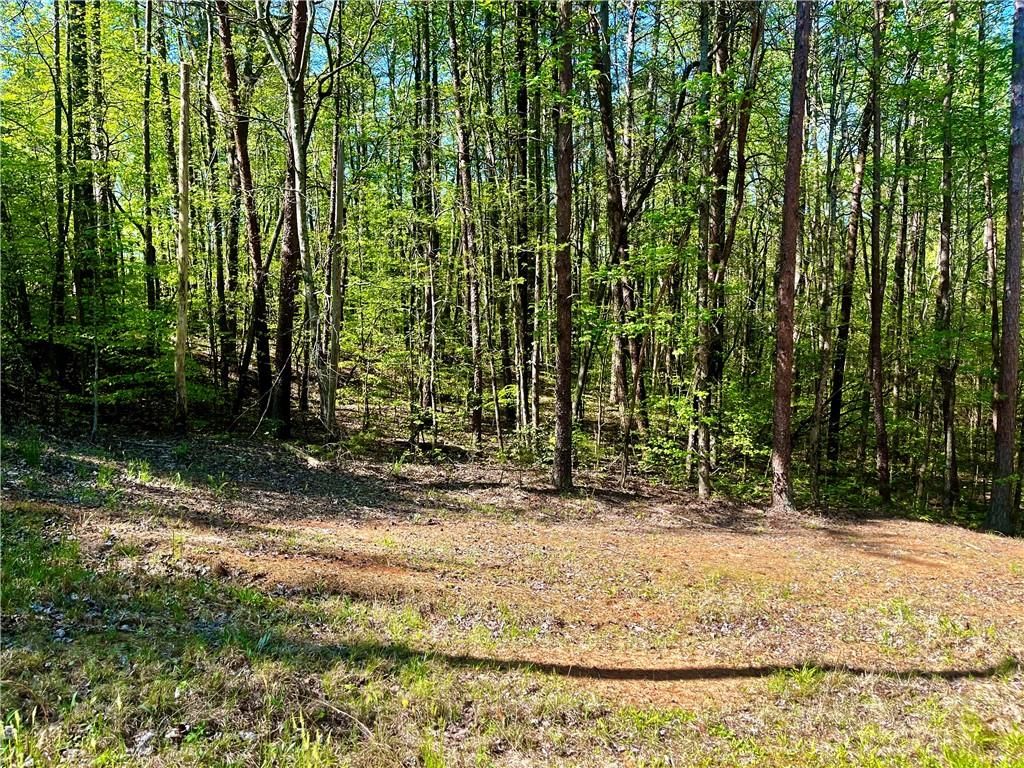 LOT 80 Sequoia Trail, Westminster, SC 29693