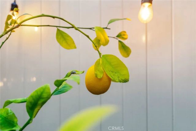 43021 Knightsbridge Way, Temecula, CA 92592