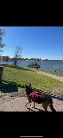 247 Comanche, Quitman, TX 75783