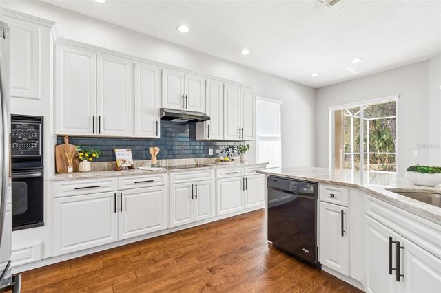 10162 DEERCLIFF DRIVE, Tampa, FL 33647