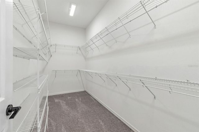 10162 DEERCLIFF DRIVE, Tampa, FL 33647