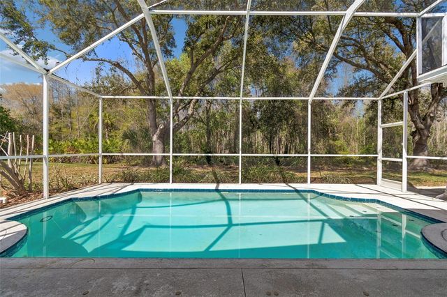 10162 DEERCLIFF DRIVE, Tampa, FL 33647