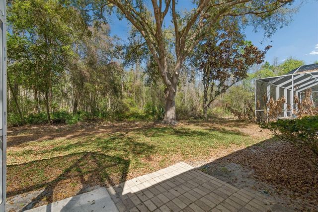 10162 DEERCLIFF DRIVE, Tampa, FL 33647