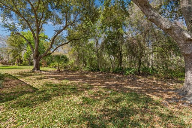 10162 DEERCLIFF DRIVE, Tampa, FL 33647