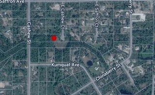 E CASHEW COURT, Eustis, FL 32736