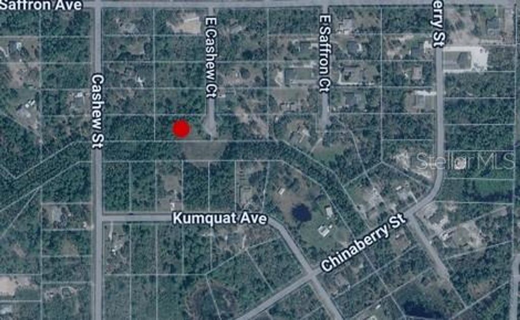E CASHEW COURT, Eustis, FL 32736