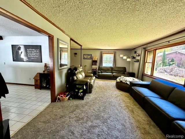6087 Cyclone Road, Otter Lake, MI 48464