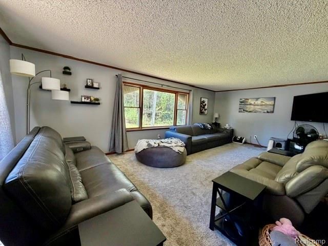 6087 Cyclone Road, Otter Lake, MI 48464
