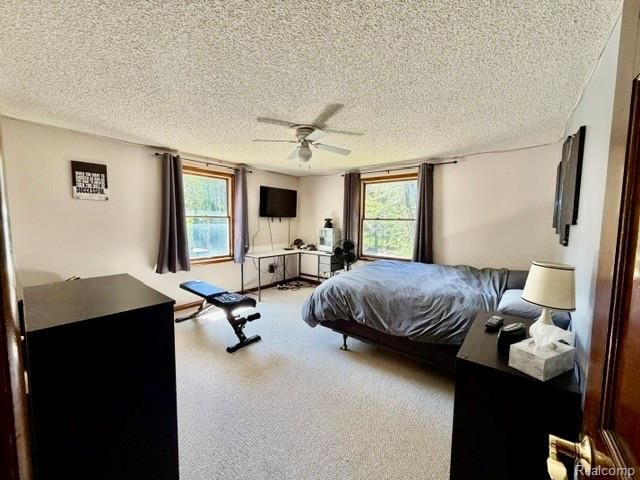 6087 Cyclone Road, Otter Lake, MI 48464