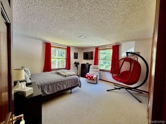 6087 Cyclone Road, Otter Lake, MI 48464