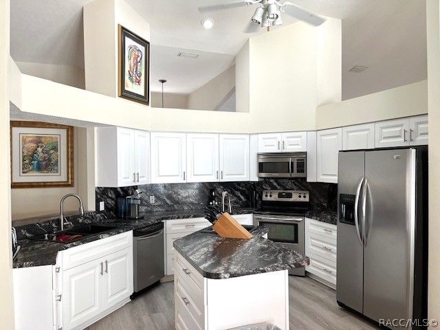 6160 N Misty Oak Terrace, Beverly Hills, FL 34465