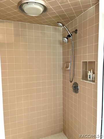6160 N Misty Oak Terrace, Beverly Hills, FL 34465