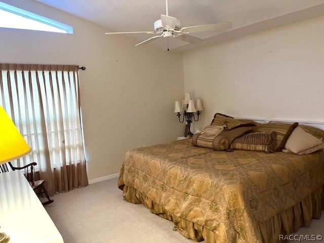 6160 N Misty Oak Terrace, Beverly Hills, FL 34465