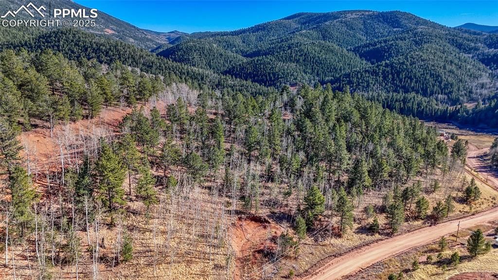 80 Beaver Pond Road, Divide, CO 80814 — exterior