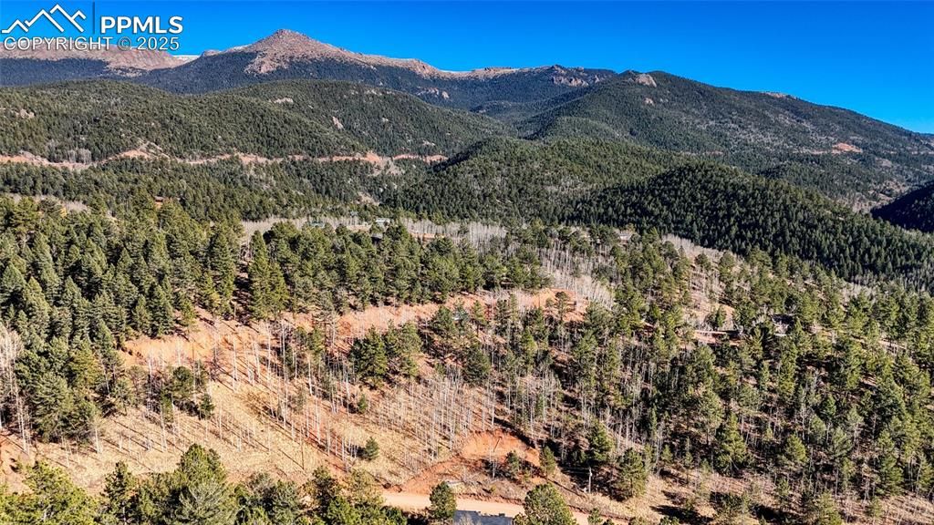 80 Beaver Pond Road, Divide, CO 80814 — photo 2