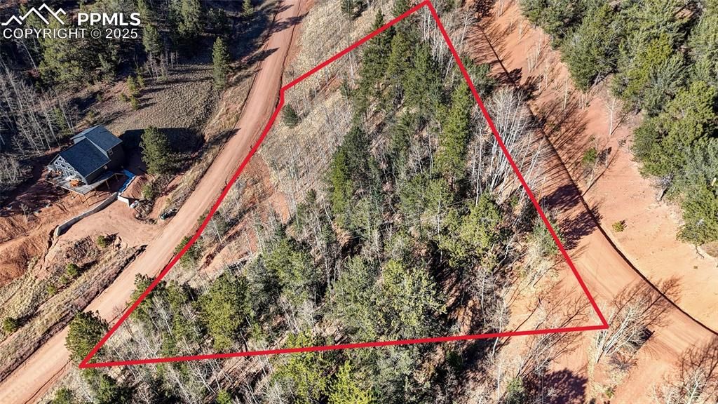 80 Beaver Pond Road, Divide, CO 80814 — photo 3