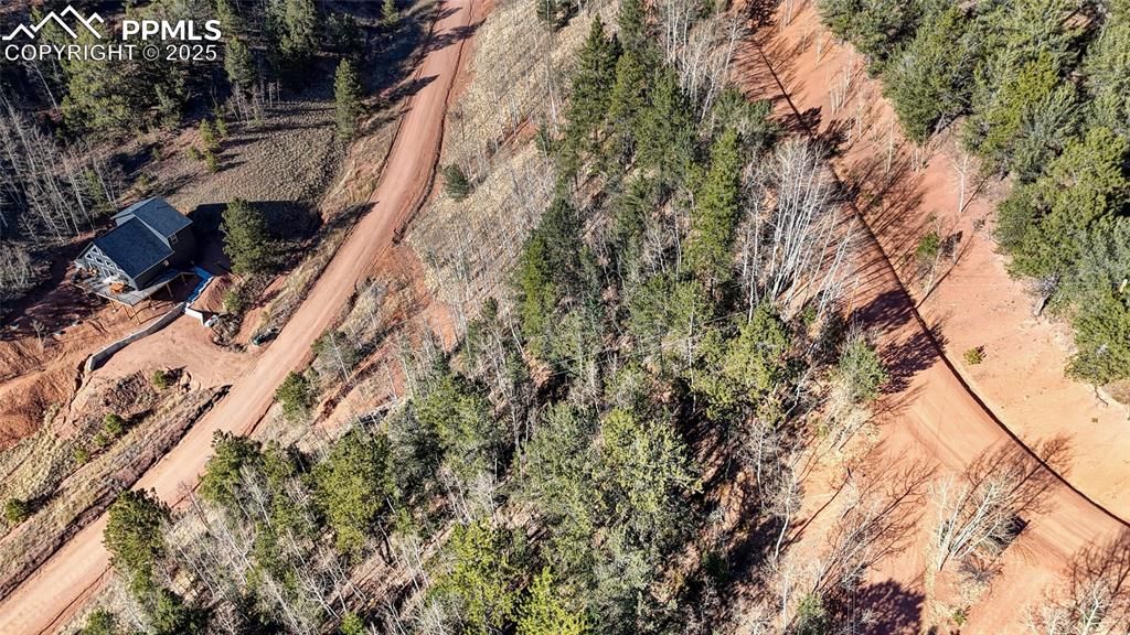 80 Beaver Pond Road, Divide, CO 80814 — photo 4