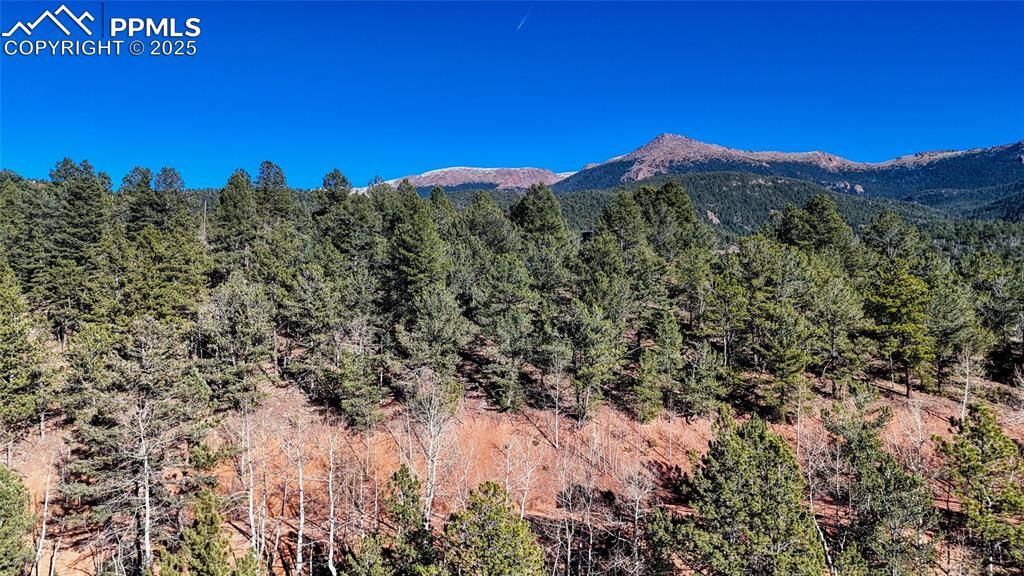 80 Beaver Pond Road, Divide, CO 80814 — photo 5