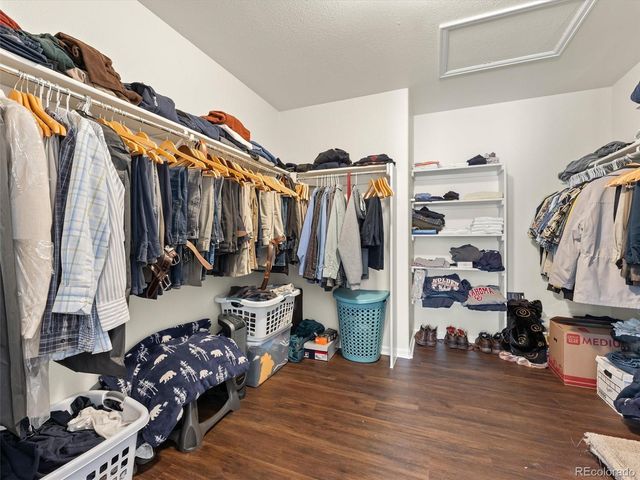 1251 N Burlington Drive, Castle Rock, CO 80104