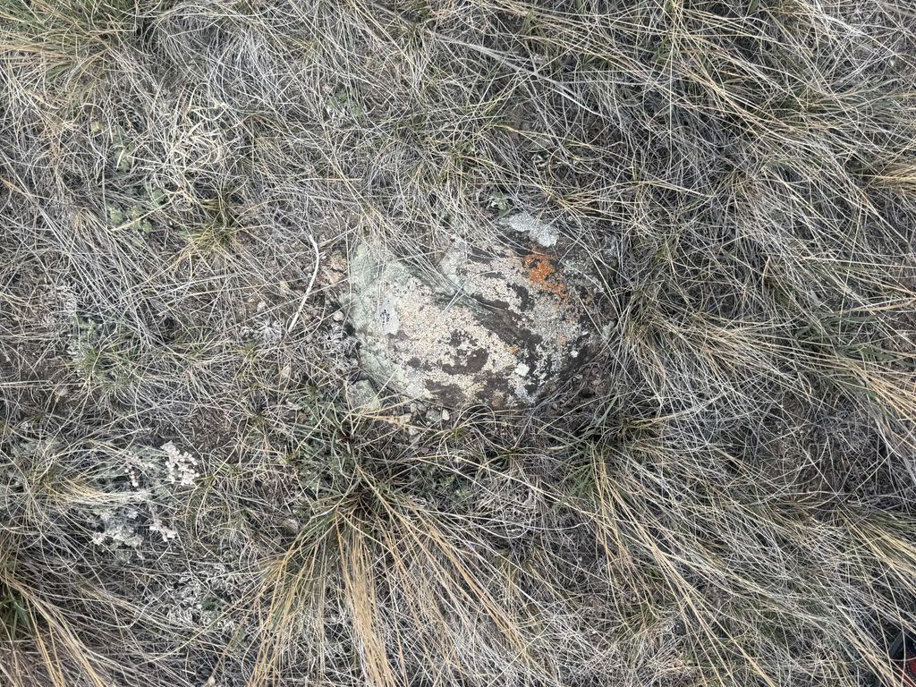 E 2273 Pishkun LN, Augusta, MT 59410 photo 9