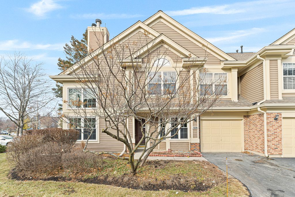 1239 Old Mill Lane, Elk Grove Village, IL 60007