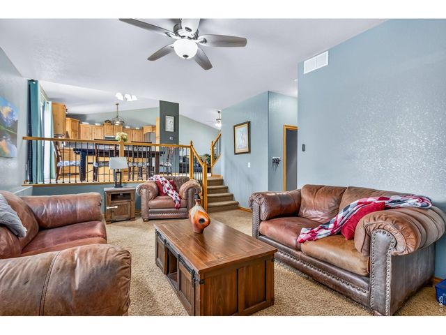 9050 Spirit St, Wellington, CO 80549