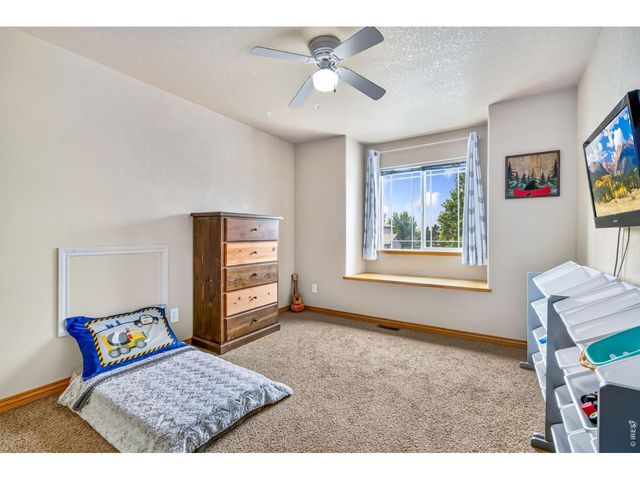 9050 Spirit St, Wellington, CO 80549