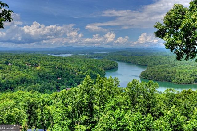 454 Genessee Path, Blue Ridge, GA 30513