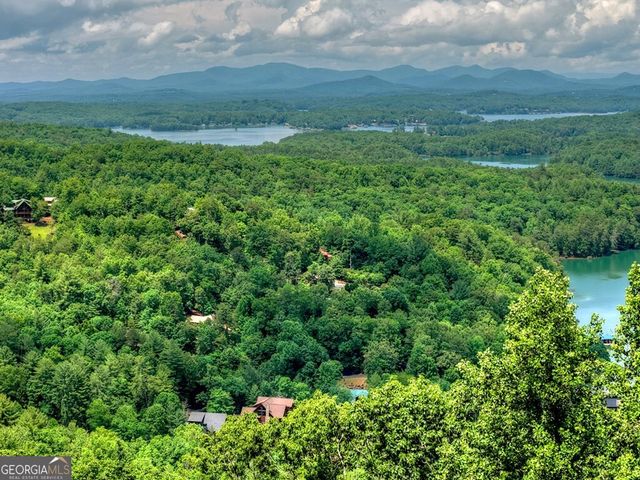 454 Genessee Path, Blue Ridge, GA 30513