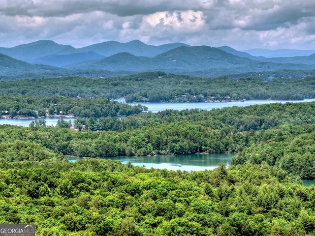 454 Genessee Path, Blue Ridge, GA 30513