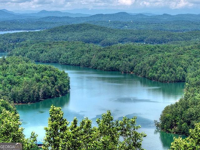 454 Genessee Path, Blue Ridge, GA 30513