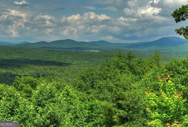 454 Genessee Path, Blue Ridge, GA 30513