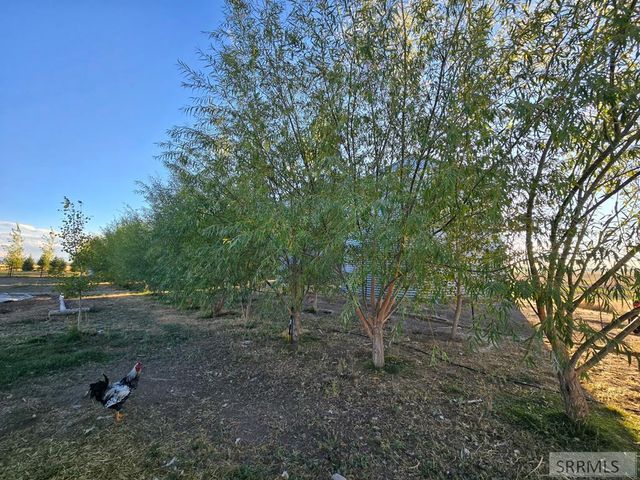 5566 W 49th N, Idaho Falls, ID 83202