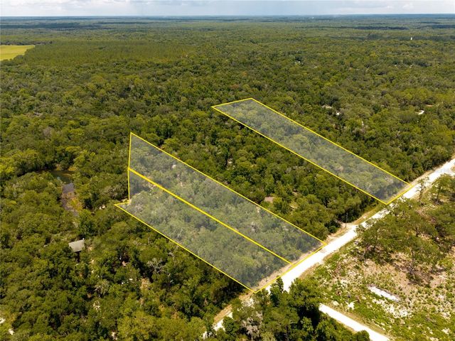 7333 RIVERVIEW DRIVE, Webster, FL 33597