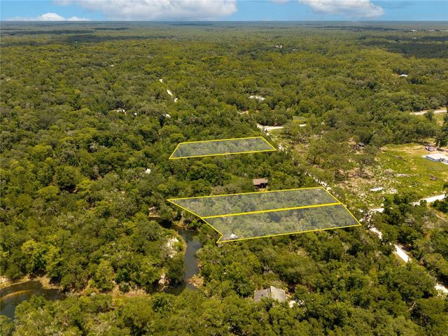 7333 RIVERVIEW DRIVE, Webster, FL 33597