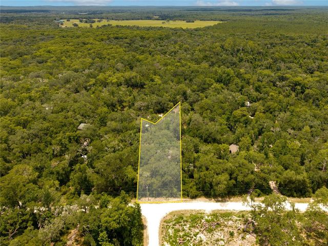 7333 RIVERVIEW DRIVE, Webster, FL 33597