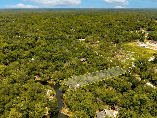 7333 RIVERVIEW DRIVE, Webster, FL 33597