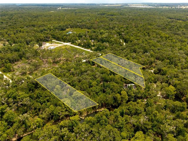 7333 RIVERVIEW DRIVE, Webster, FL 33597