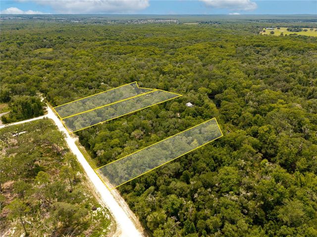 7333 RIVERVIEW DRIVE, Webster, FL 33597