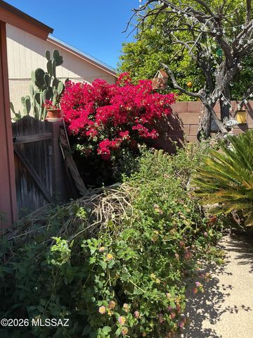 2700 W Camino De La Joya, Tucson, AZ 85742