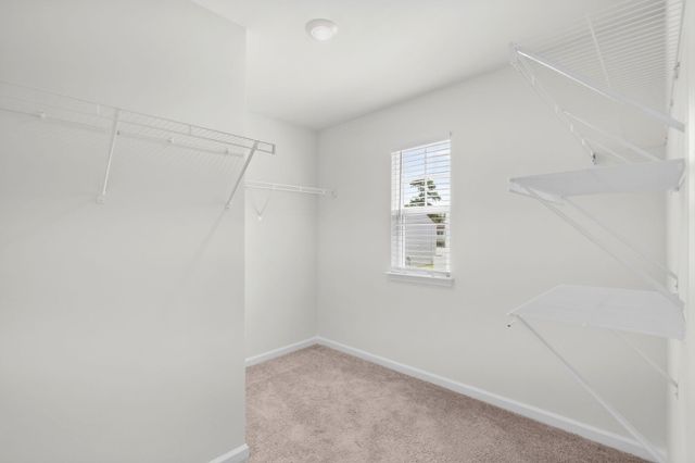 159 Kelsey Ct., Myrtle Beach, SC 29588