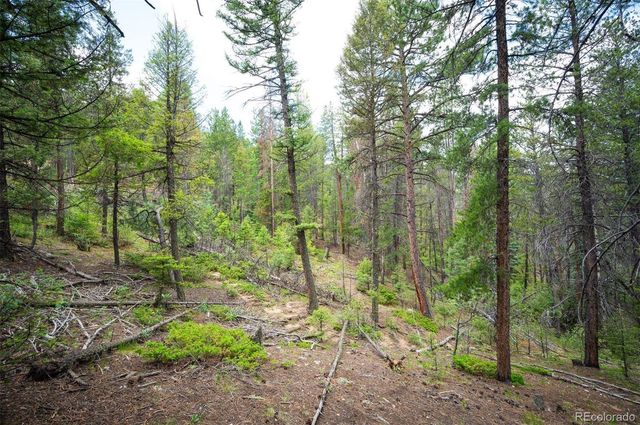 0 Juniper Drive, Conifer, CO 80433