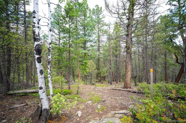 0 Juniper Drive, Conifer, CO 80433